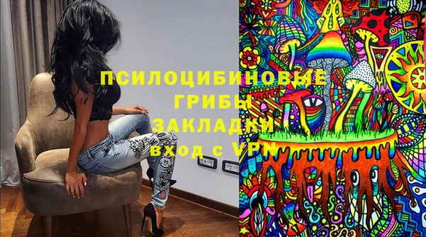 Альфа ПВП Арсеньев