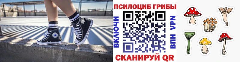 ссылка на мегу зеркало  Славянск-на-Кубани  Галлюциногенные грибы Magic Shrooms 